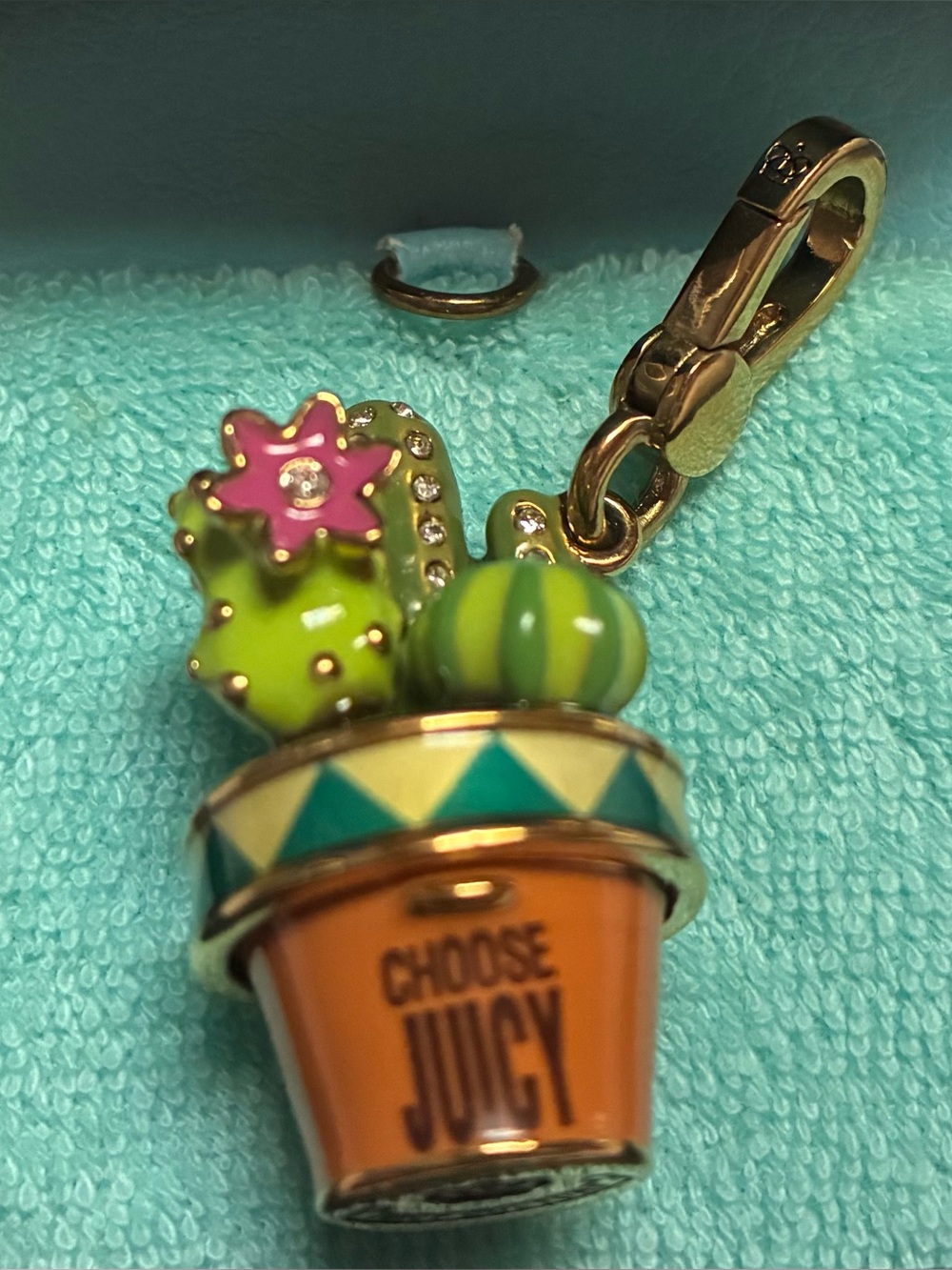 Choose Juicy Cactus Pot Charm - Green, Pink, Orange